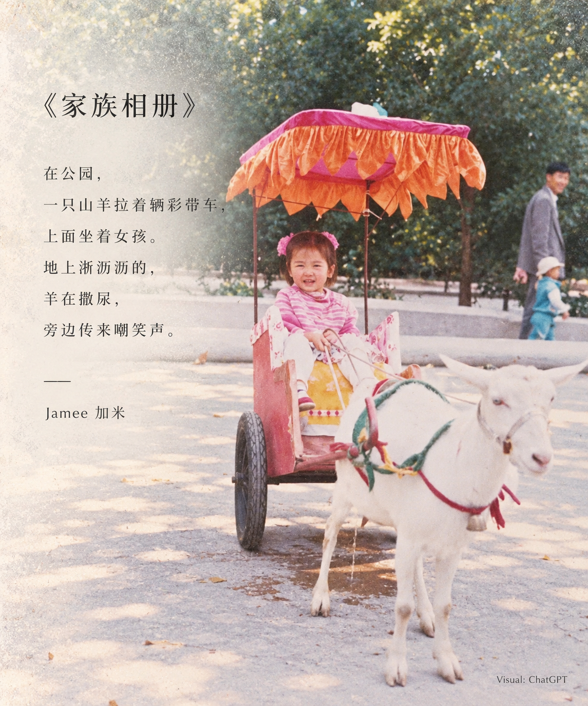 《家族相册》视觉卡